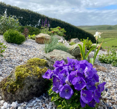 Florent Gardens Landscaping and Garden Design Glasgow Our Work 23