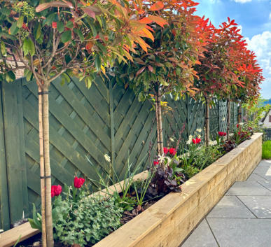 Florent Gardens Landscaping and Garden Design Glasgow Our Work 34