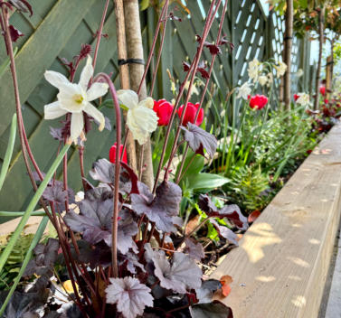 Florent Gardens Landscaping and Garden Design Glasgow Our Work 35